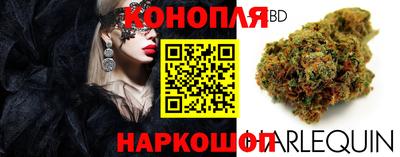 стафф Кимры