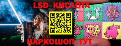 меф Кингисепп