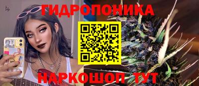 стафф Кимры