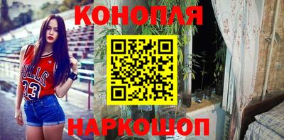 стафф Кимры