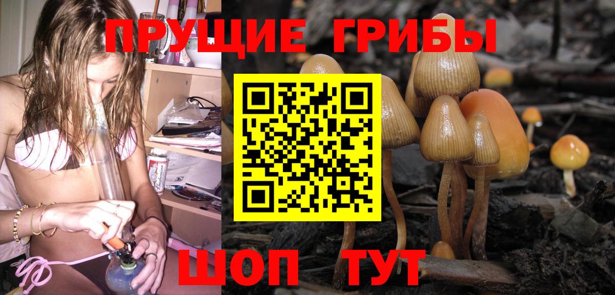 Псилоцибиновые грибы прущие грибы Когалым